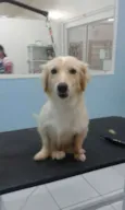 Julinho