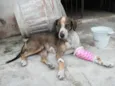"Keka"