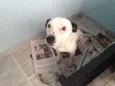 Bebês nascidos em 1