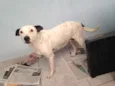 Bebês nascidos em 1