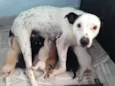 Bebês nascidos em 1