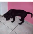 Jack