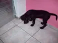 Jack