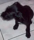 Jack