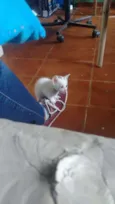 Não coloquei nome