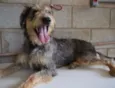 LARISSA, doce Lari!