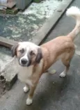 Bolinha