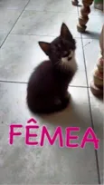 Frida