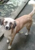 Bolinha