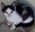Zeus