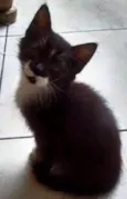 Frida