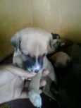 indefinido