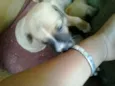 indefinido