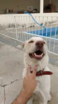 Paco
