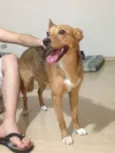 Desconhecido