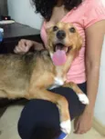 Desconhecido