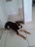 Mike