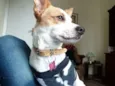 Nina