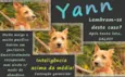 Yann