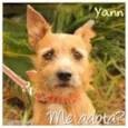 Yann