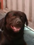 Barney