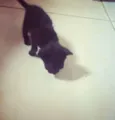 Billy