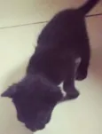 Billy
