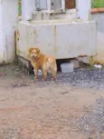 Desconhecido