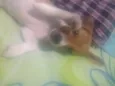 Pequena 