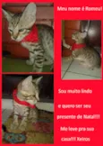 Gisele
