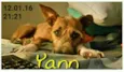 Yann