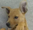 Marley