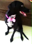 Nina
