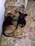 ROMEU E JULIETA