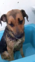ROMEU E JULIETA