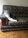 Cacá