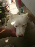 Marley