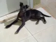 Pelezinho