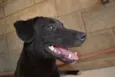 PATHOLY, bebezão!