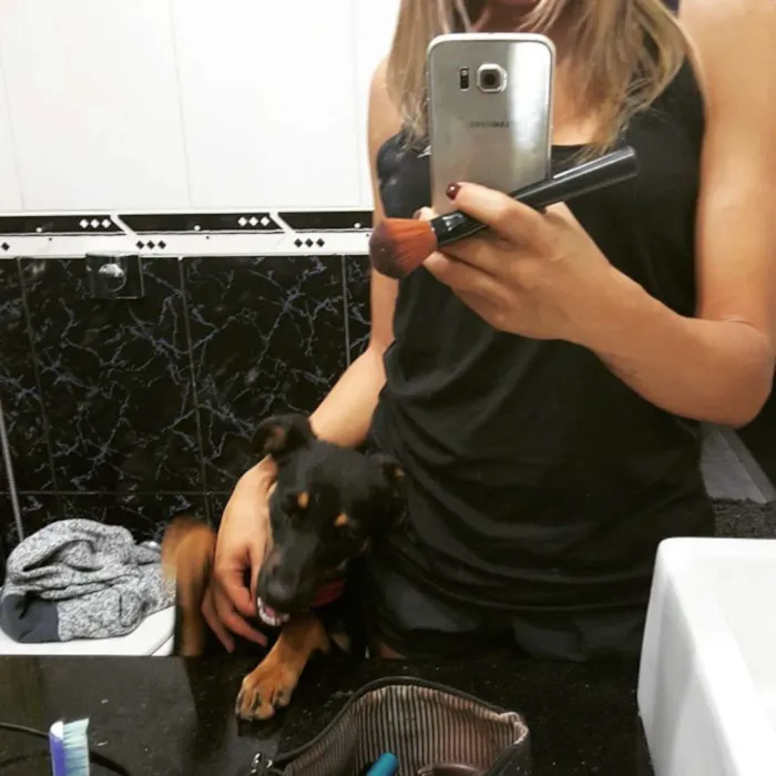 Cachorro raça Vira lata idade 1 ano nome Malu e Sophia