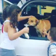 Malu e Sophia