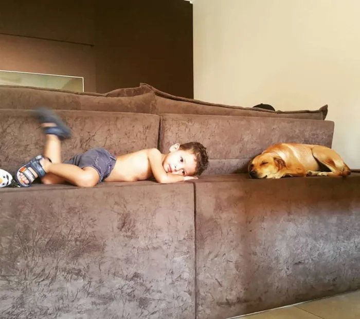 Cachorro raça Vira lata idade 1 ano nome Malu e Sophia