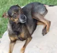 nina