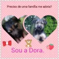 Dora 