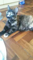 Morgana