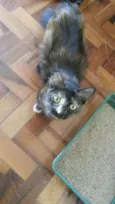 Morgana