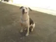 Dalila