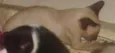 Sem nome