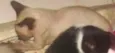 Sem nome