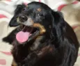 Charlie